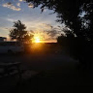 Meet your Posher, Jesse-anne